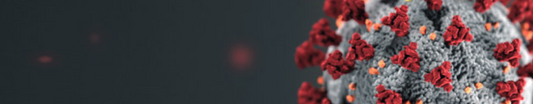 Effect of Crovid-19 at Dice Dungeons