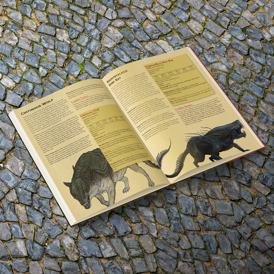 Open book showing game details and graphics on stony ground.