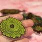 Terrain Overlays